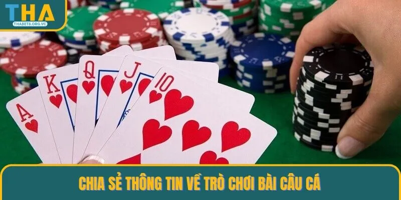 Bật mí thông tin về bài câu cá tại THABET