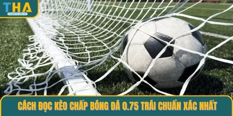 Cách đọc kèo chấp bóng đá 0.75 trái
