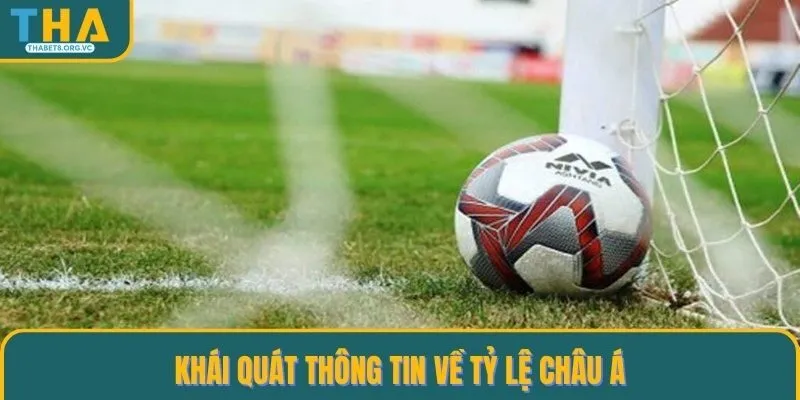 Khái quát thông tin về tỷ lệ châu Á