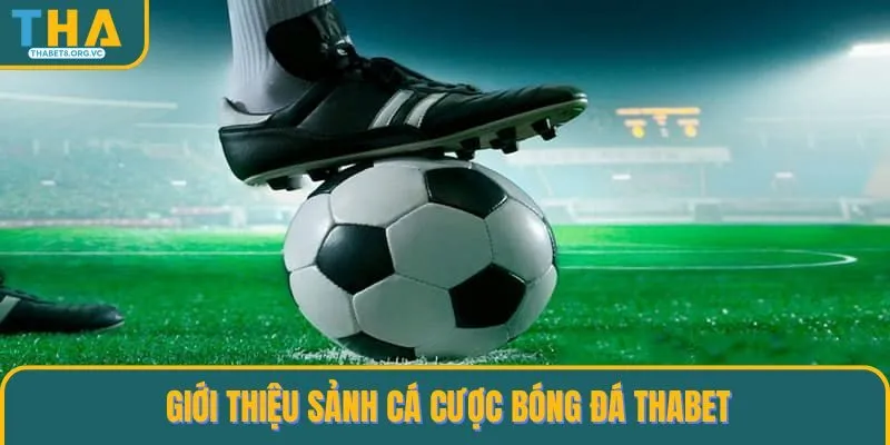 Tổng quan về cá cược Bóng đá tại nhà cái THABET cho bạn