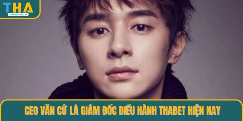 CEO Văn Cứ là giám đốc điều hành THABET hiện nay