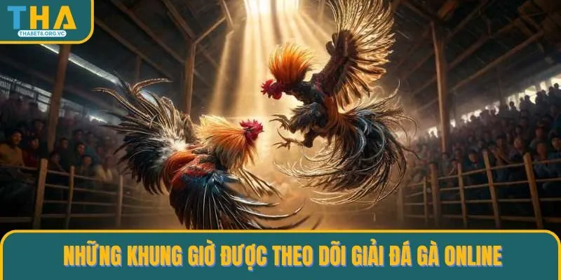Những khung giờ được theo dõi giải đá gà online