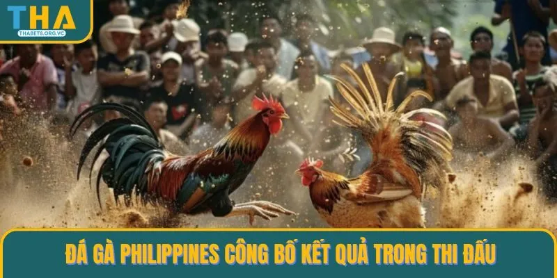 Đá gà Philippines công bố kết quả trong thi đấu