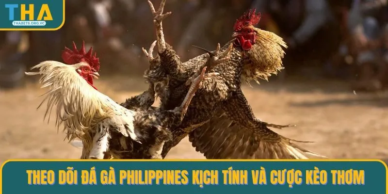 Đá gà Philippines