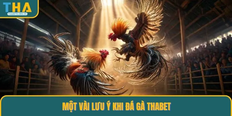 Một số lưu ý quan trọng bạn cần nắm rõ