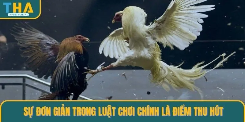 Sự đơn giản trong luật chơi chính là điểm thu hút